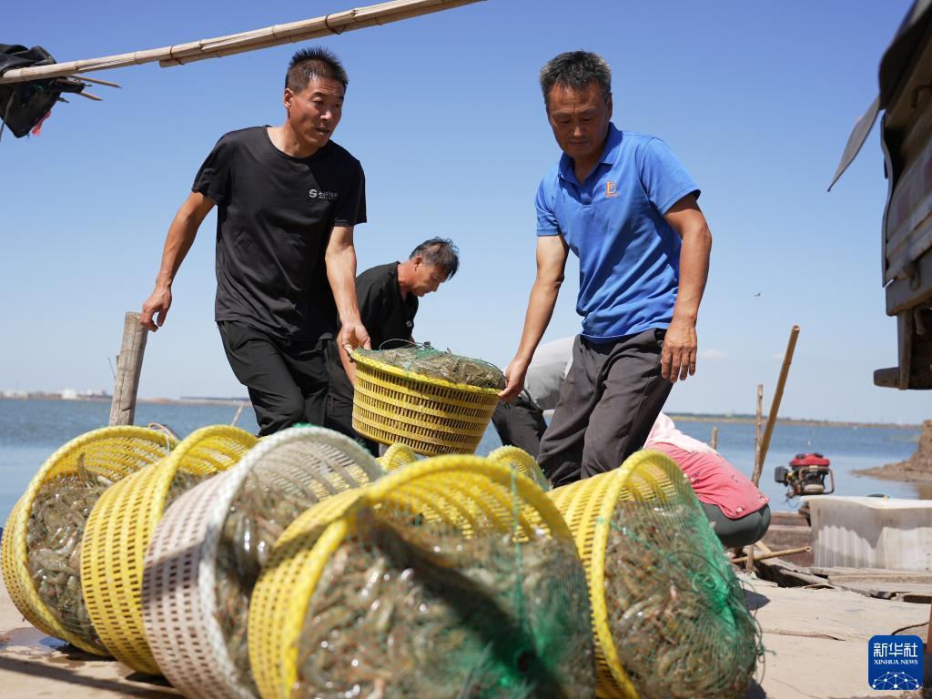 足球现金官方网站